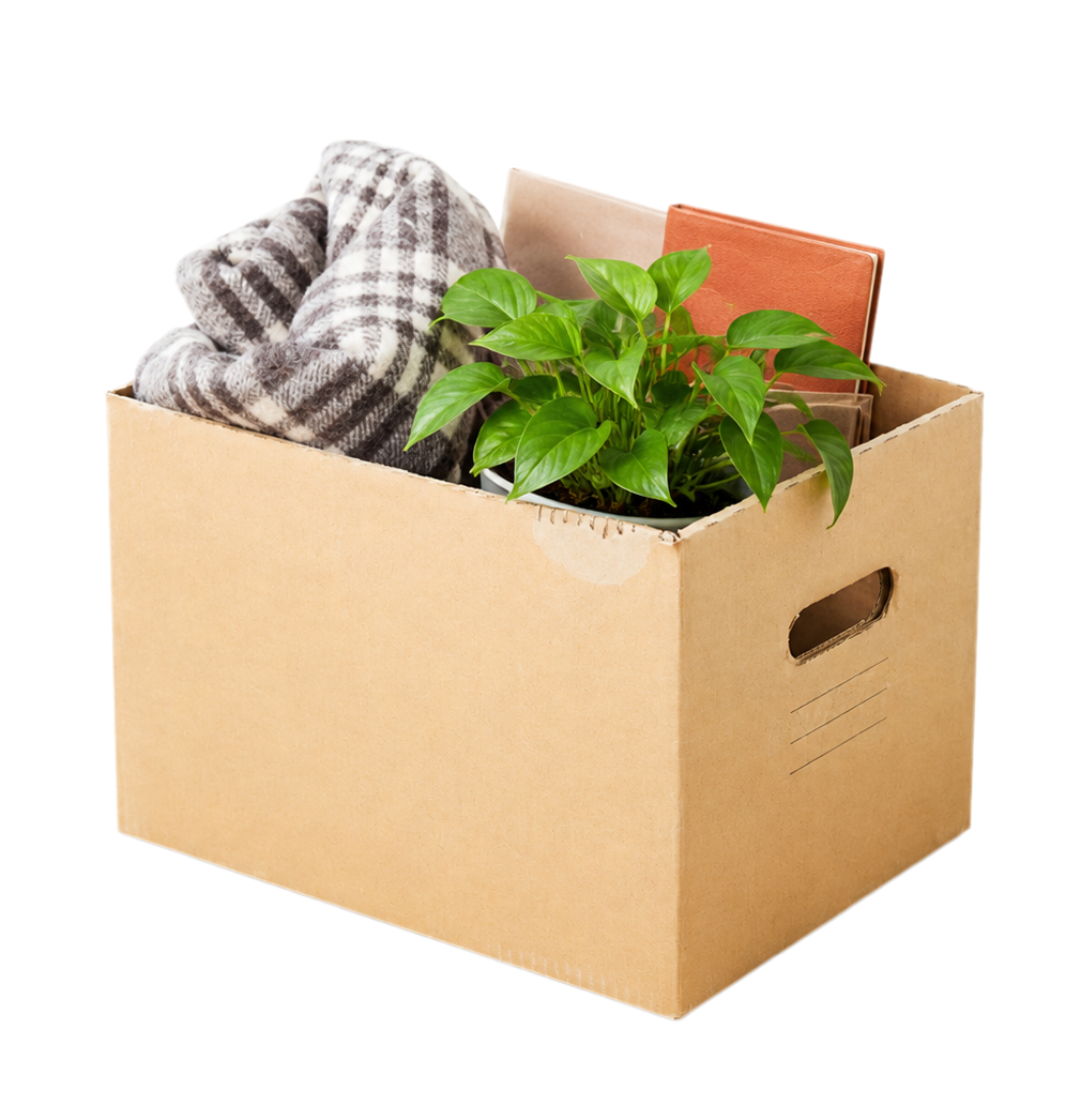 Umzugsbox